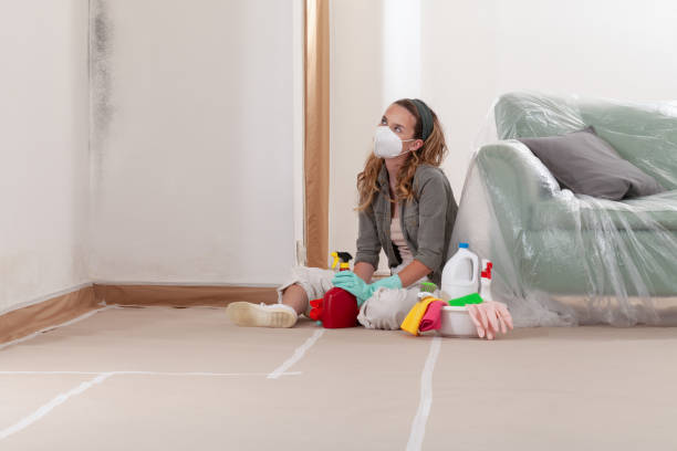 Reliable Mold Remediation contractor in Medina, WA by WQB Mold Removal